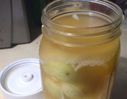 Pickle Plungers in Jar