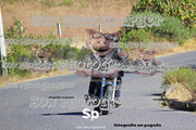 IMG-2394