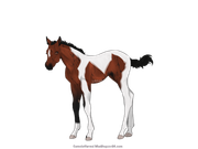 9D219D16-765B-400F-9101-9B627AA451CD