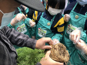 photo-20211123-iherbalgarden-045