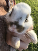 117C9011-7586-4D63-8223-F198DA8FA9E4