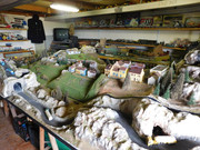 DSCN0739.jpg