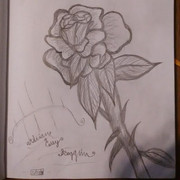 26073424_398151910609204_7661494853108236288_n