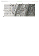 2882119-crosti-ru-color-27