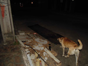 44.4.night dwellers IV