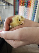 2e6d3f19-63fe-40d1-991e-a4342bca45c4