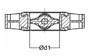 Top View