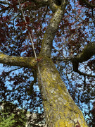 IMG-0748-Copy