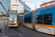 IMG-4337