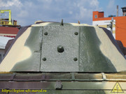 IMG-3501