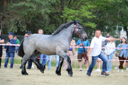 IMG-7355-wynik