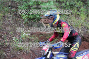 IMG-6205