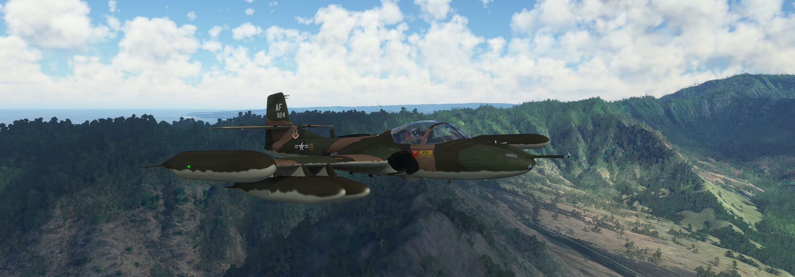 Dragonfly.jpg