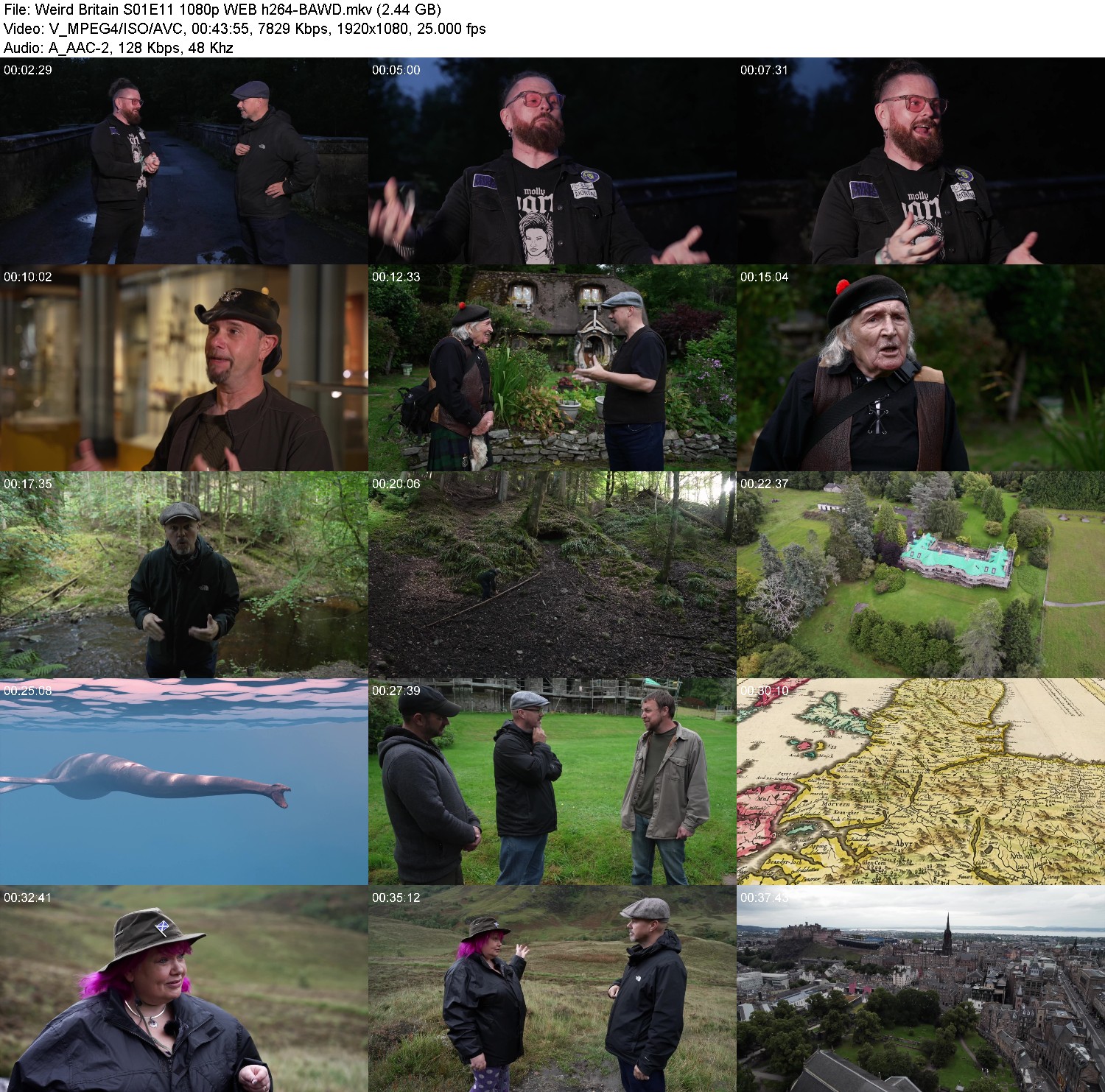 [Image: gn51k9td2fkd.jpg]