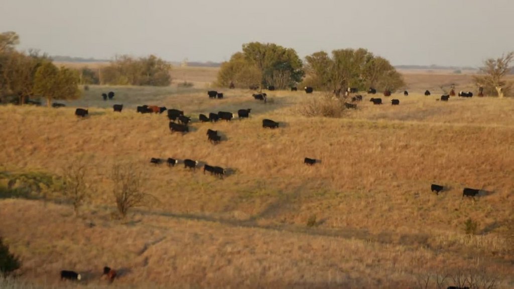 [Image: 0lu8mdw68auw.jpg]