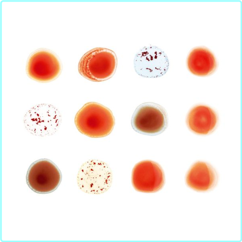 [Image: sg51aklr9lb0.png]