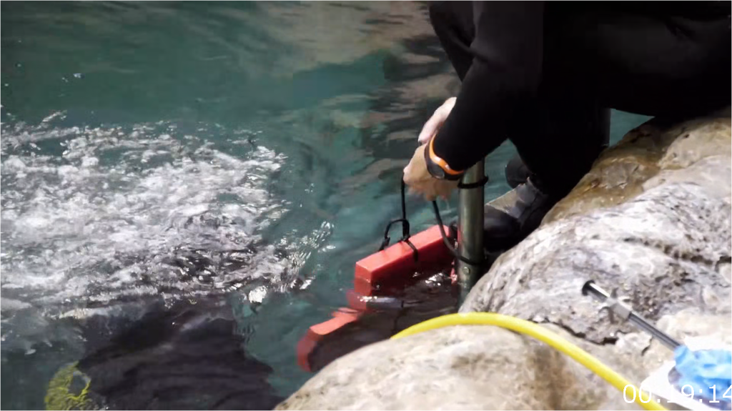 [Image: 7abvp6ebi59s.png]