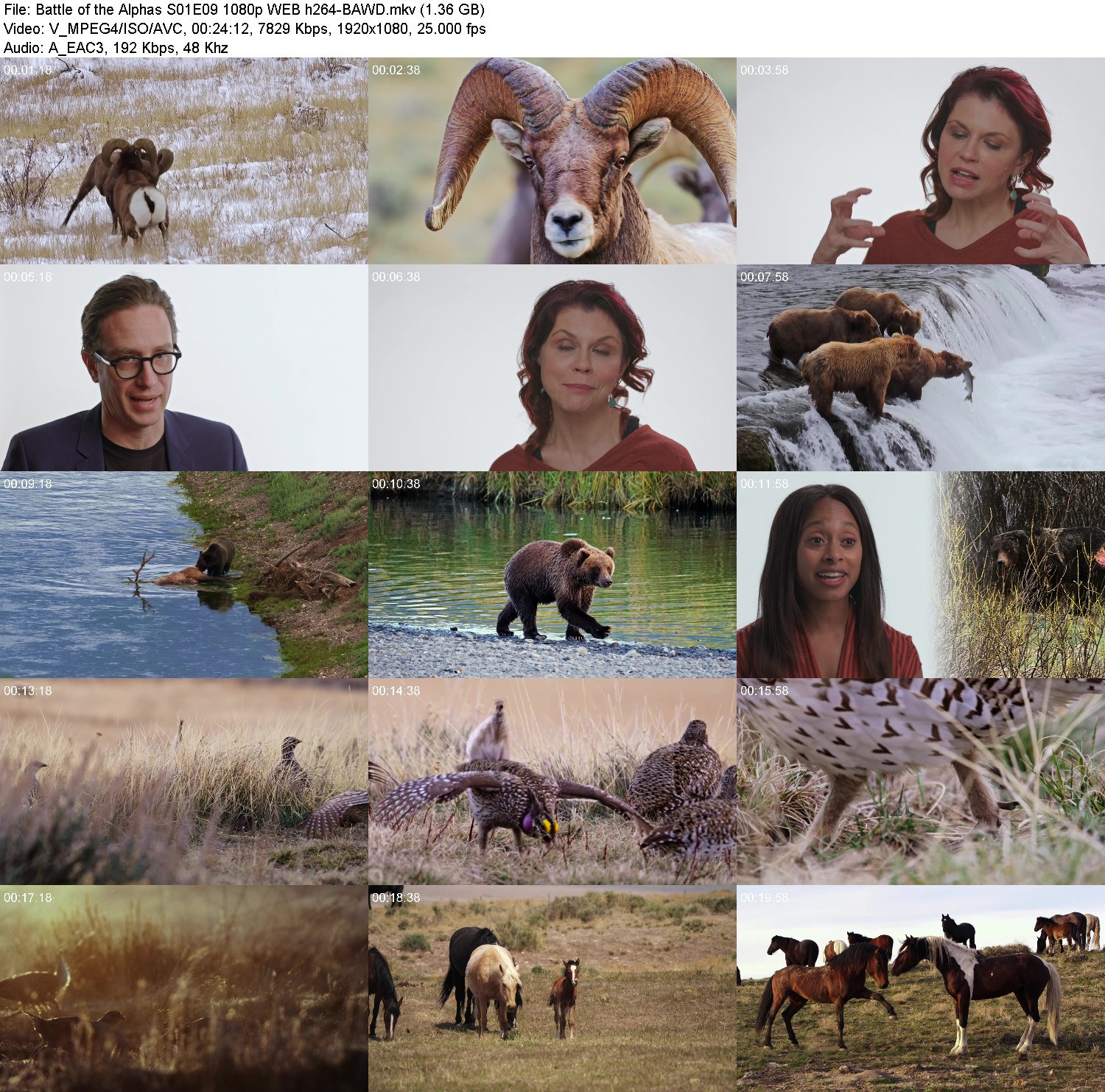 [Image: 28af5ckvi0vu.jpg]