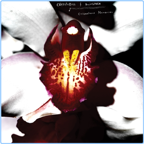 [Image: 384r9wmnxiro.png]