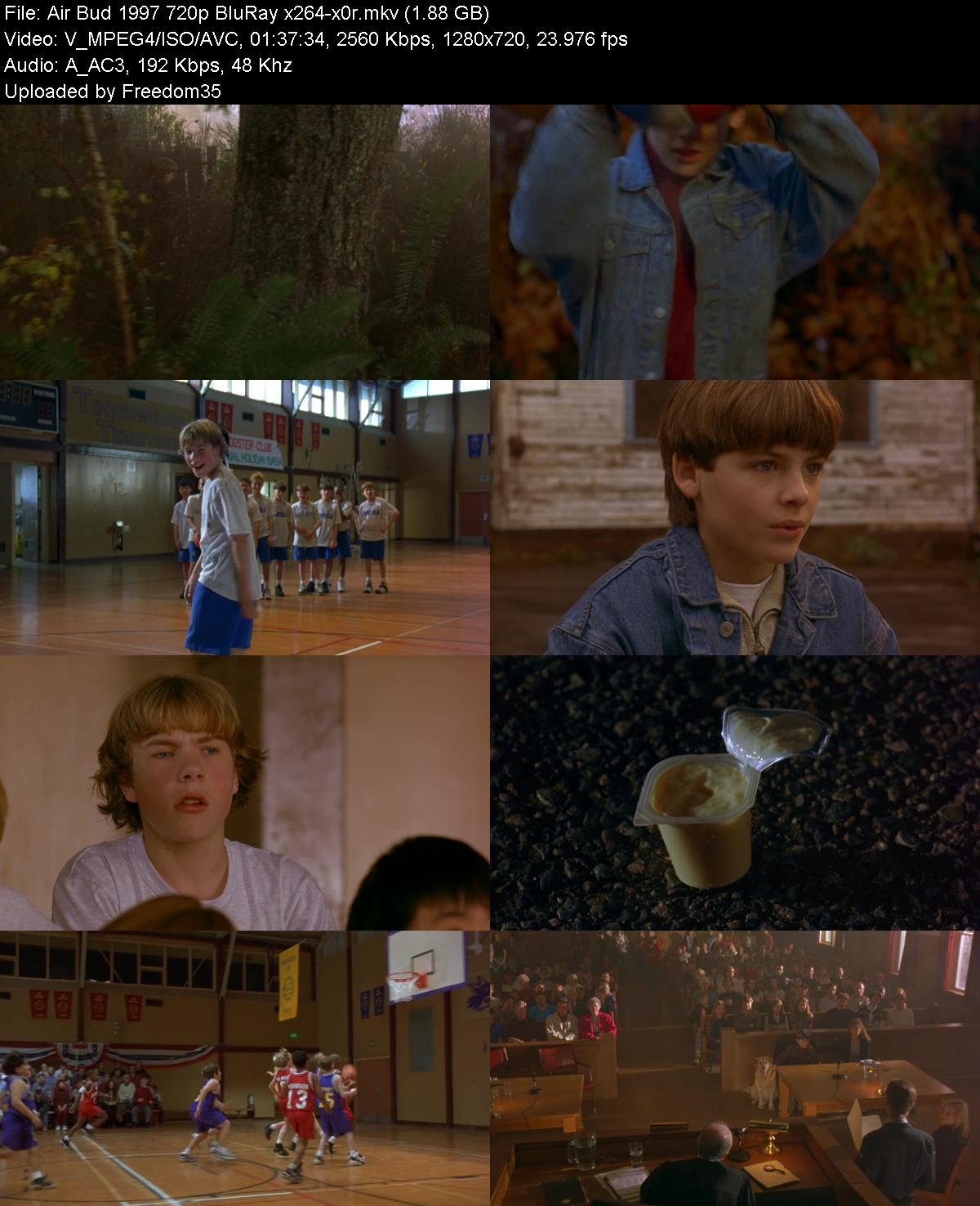 Air-Bud-1997-720p-Blu-Ray-x264-x0r.jpg