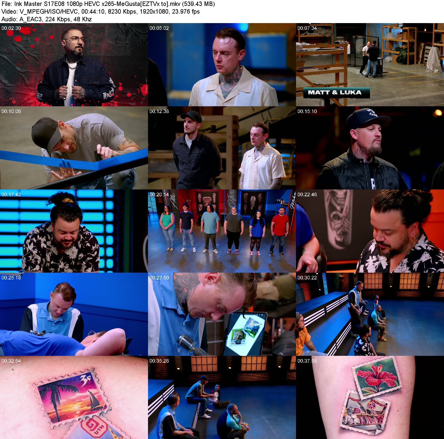 [Image: jx6zbgl7j0k9.jpg]