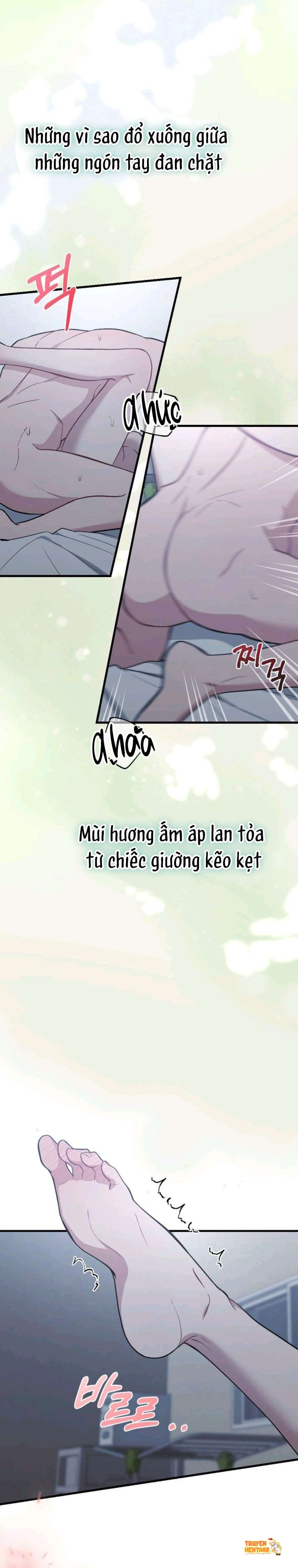 Xem ảnh 〖18+〗- Đêm Mùa Hè - Chapter 1 - tmptjmhaylw - Truyenhentaiz.net