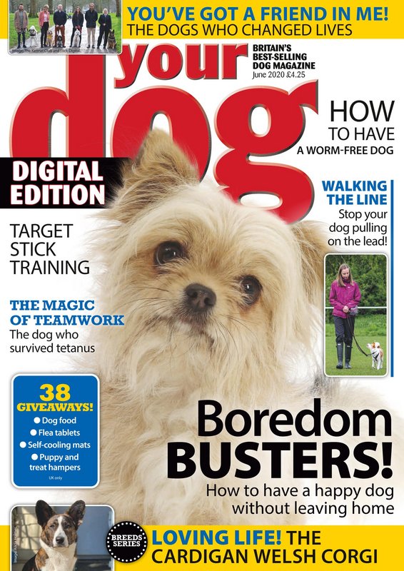 Your-Dog-June-2020.jpg