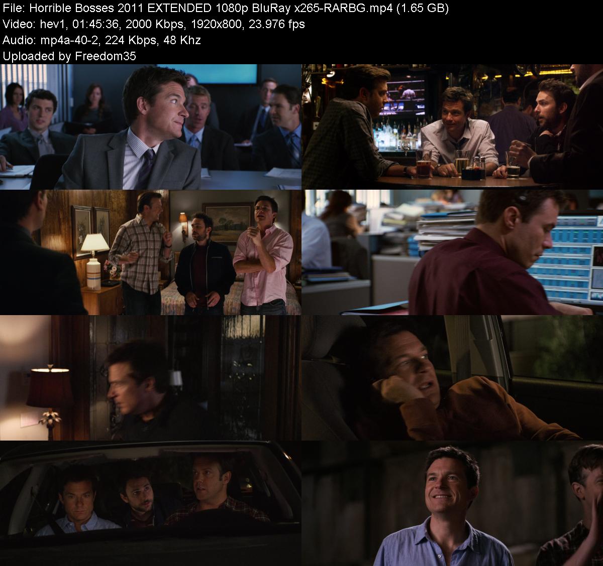 Horrible-Bosses-2011-EXTENDED-1080p-Blu-
