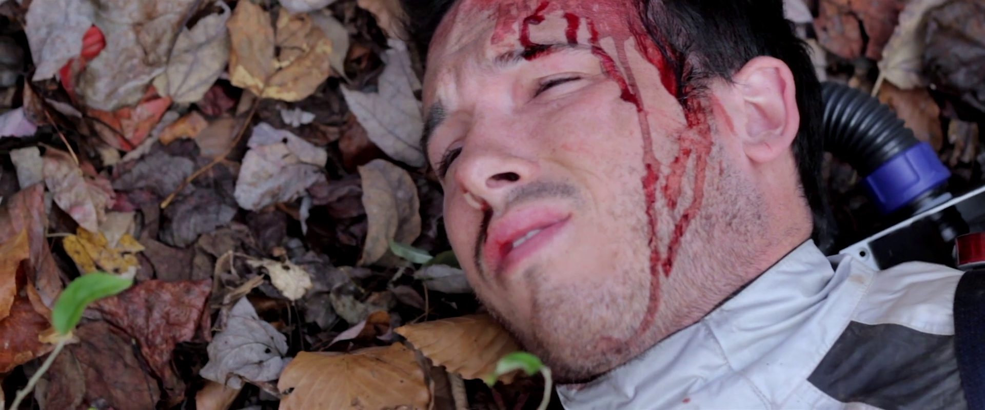 5r5q1fwkn7.png