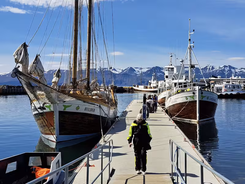 7/07/2025 BALLENAS EN HUSAVIK y RUTA CASCADAS HAFRAGILSFOSS, DETTIFOSS Y SELFOSS - 2º Viaje a la Tierra del Hielo y Fuego de 21 días (en construcción, con videos) (9)