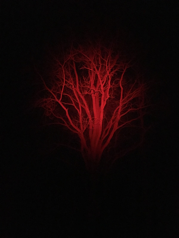 72255961-A6B1-429D-BC89-D7B974CD7D3C