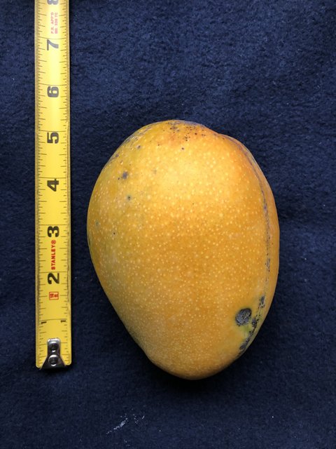 70BC8AFE-B963-4129-9D68-AE32DA2898F7