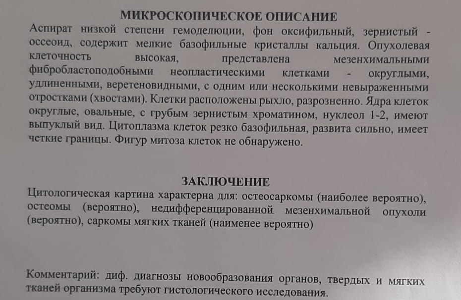 биопсия 16.10.23