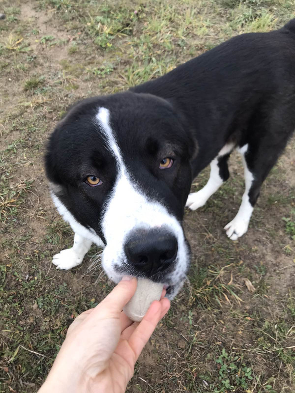 изображение_viber_2019-10-22_11-27-55