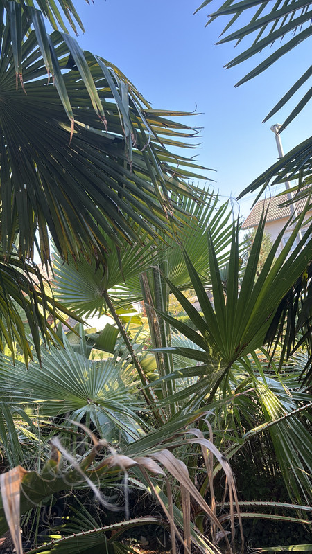 D530FC30-90B3-4D71-BF38-EAC927D8BFC3