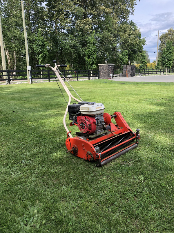 Jacobsen greens mower 22 sale