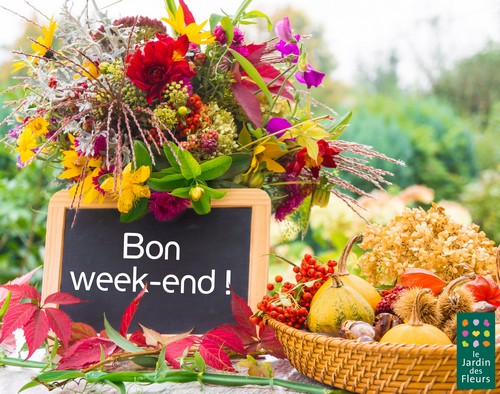 185-bon-week-end