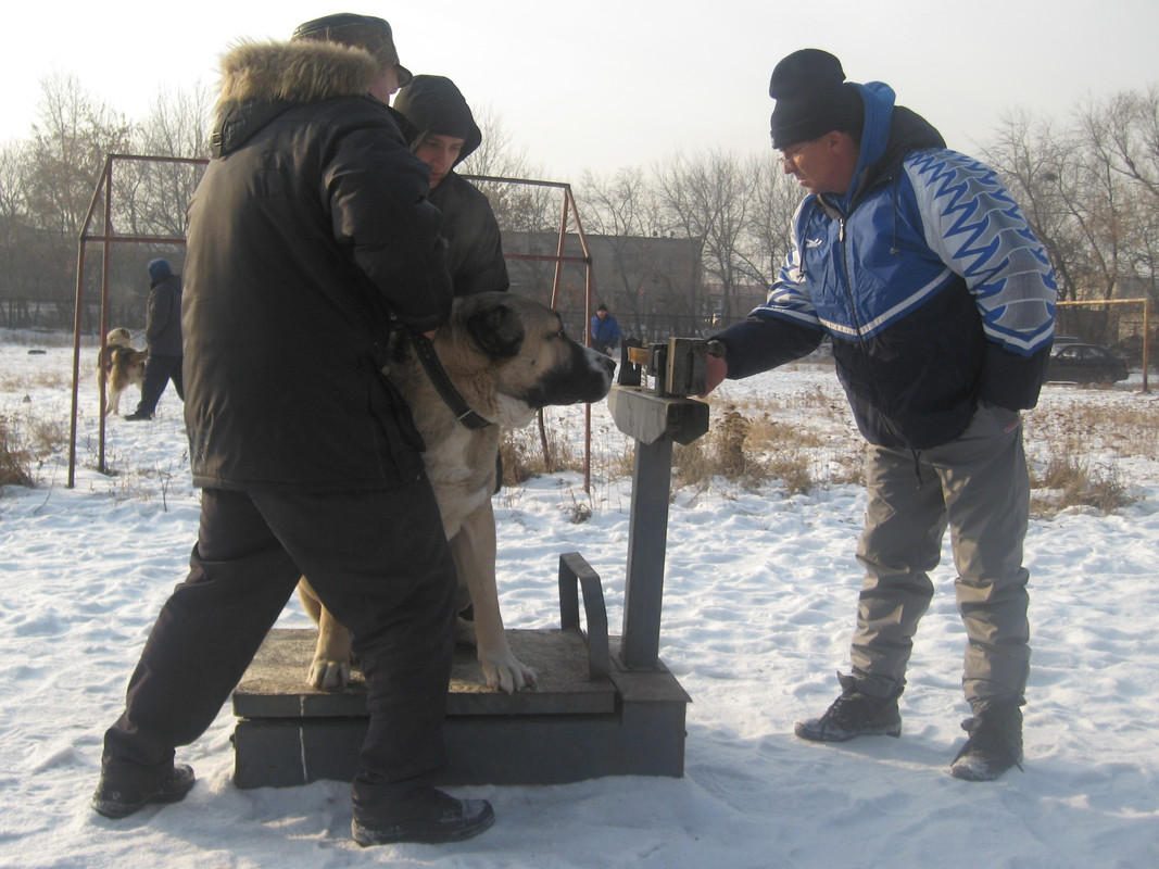 2009.11.21 Вес ТУГАН 74кг 1г8м (1)