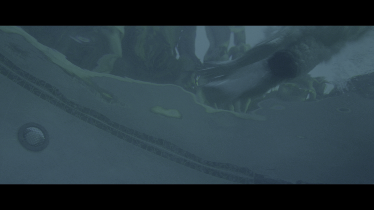 vlcsnap 2025 12 08 11h23m37s936