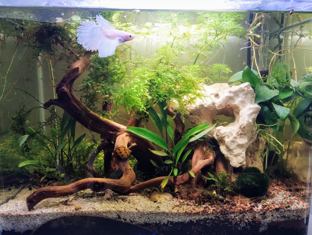 2024-09-07 15.40.30-2