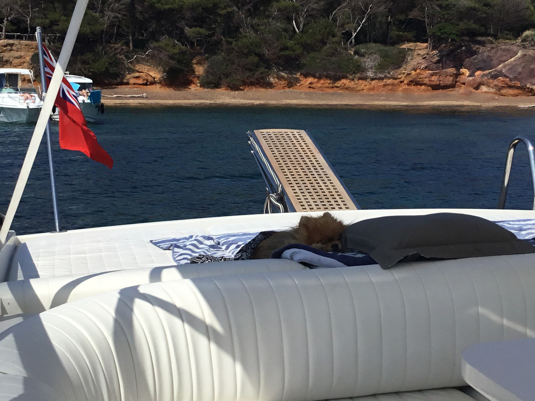 D8CE6171-51A5-4F56-8DC1-6134ABB081AC