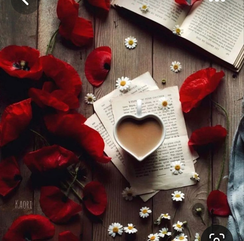 Screenshot_20230731_233613_Pinterest