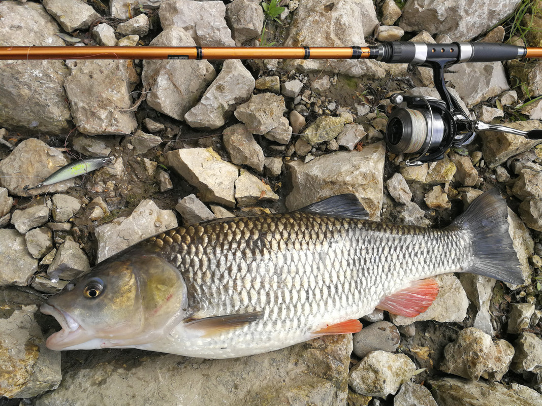 Klen 5 - 9.5.2020 53cm vodostaj 17Xcm