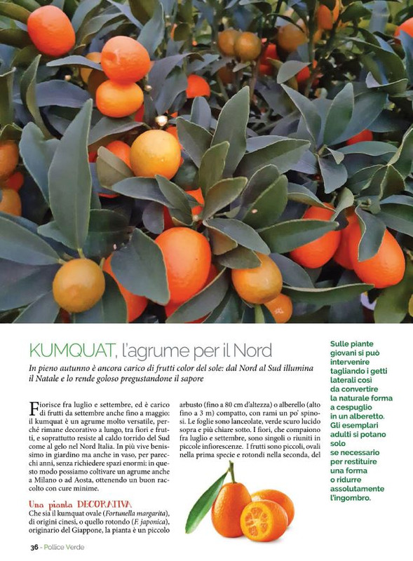 Pol Ver Nov-Dic 2021 (9)