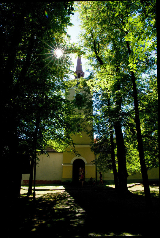 Obrázek