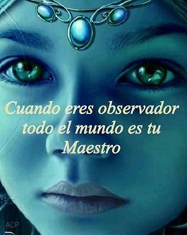 [Imagen: lkjjhioj4565.jpg]