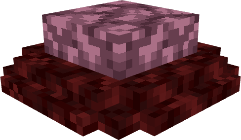 A brain