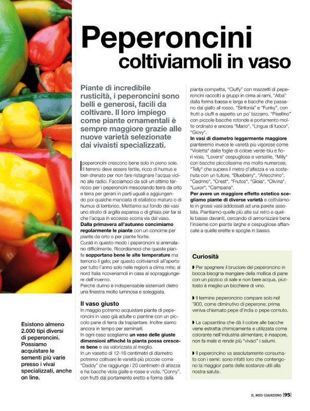 Il Mio Giar Mag-Giu 2020 (12)