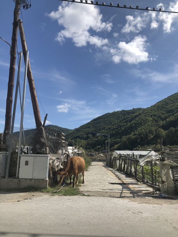 CF628B52-1790-4507-917F-B390F7736833