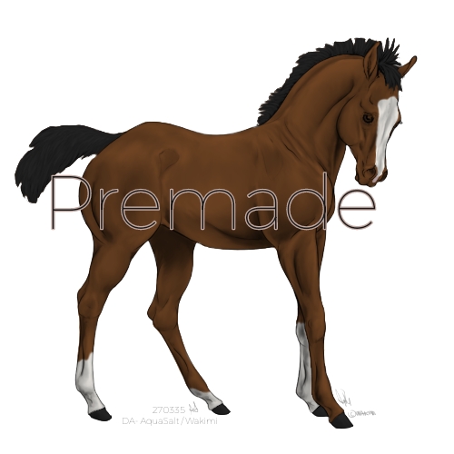 2-LVS-Premade-Adopt-Outline2-20240923121909.jpg
